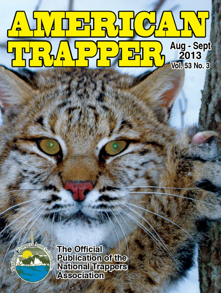 American Trapper