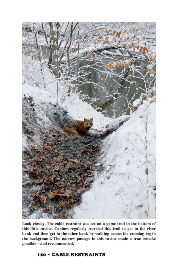 Cable Restraints — The Art of Live-Catch Snares - Image 8