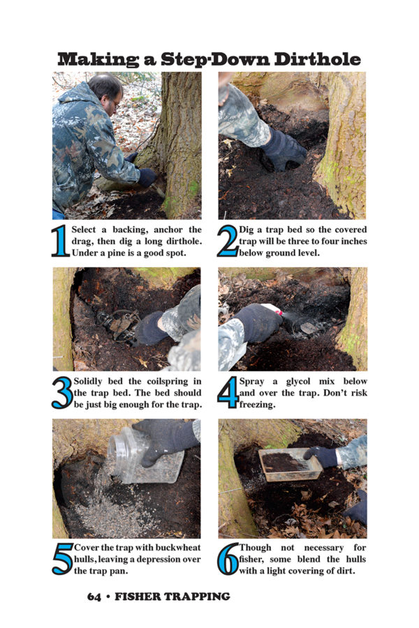 Fisher Trapping – Pennsylvania Foothold Methods - Image 5