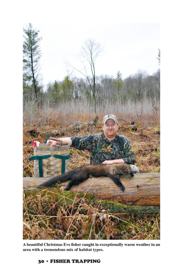 Fisher Trapping – Pennsylvania Foothold Methods - Image 3
