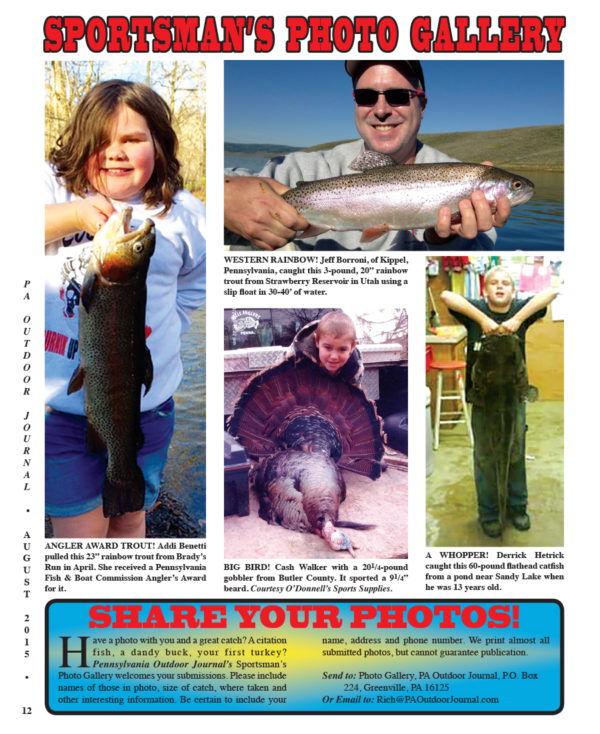 Pennsylvania Outdoor Journal - Image 2