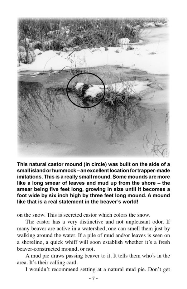 Making Mud Pies for Beaver – The Castor Mound Set (only available as an eBook at this time) - Image 4