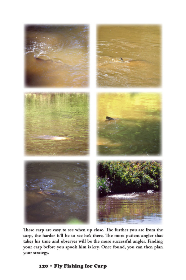 Fly Fishing for Carp — Techniques Developed and Used for Over 50 Years! - Image 12