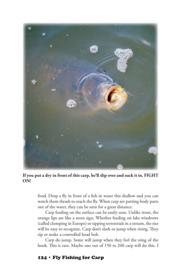 Fly Fishing for Carp — Techniques Developed and Used for Over 50 Years! - Image 11