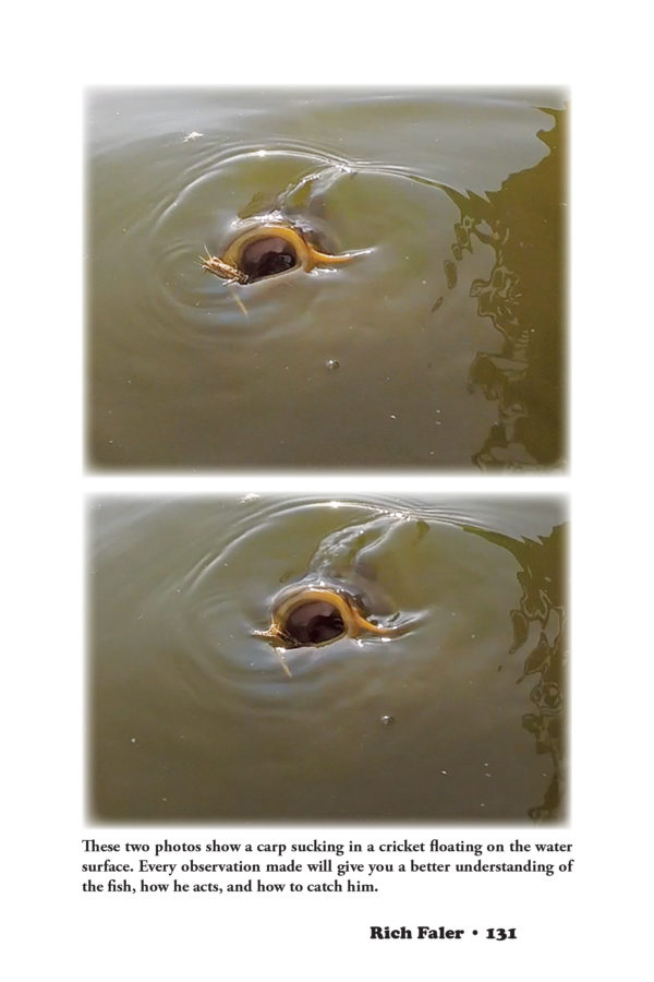 Fly Fishing for Carp — Techniques Developed and Used for Over 50 Years! - Image 10
