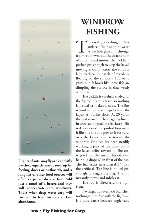 Fly Fishing for Carp — Techniques Developed and Used for Over 50 Years! - Image 9