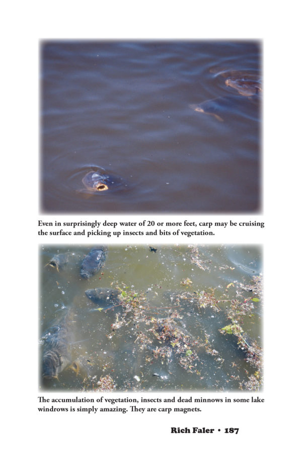Fly Fishing for Carp — Techniques Developed and Used for Over 50 Years! - Image 8